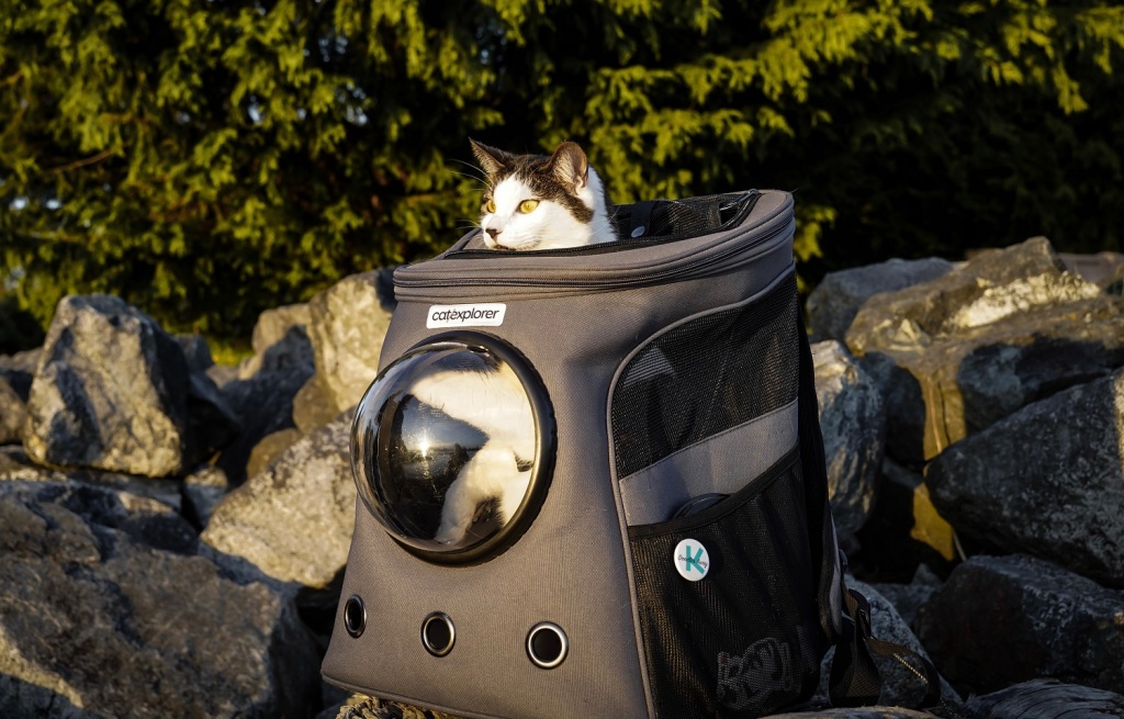 Detail Navigator Cat Backpack Nomer 37
