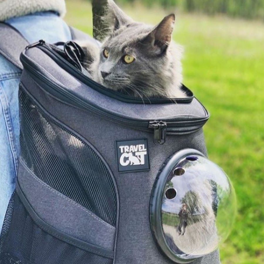 Detail Navigator Cat Backpack Nomer 57