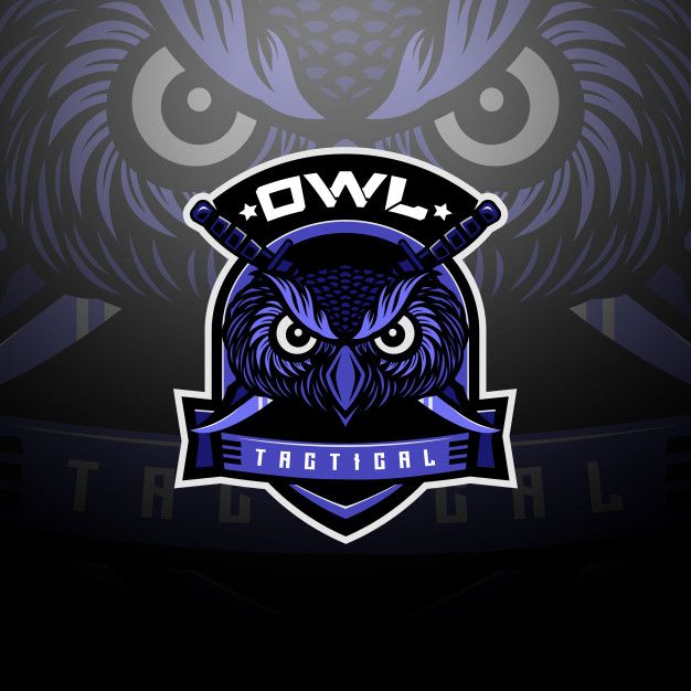 Detail Logo Esport Burung Hantu Nomer 47