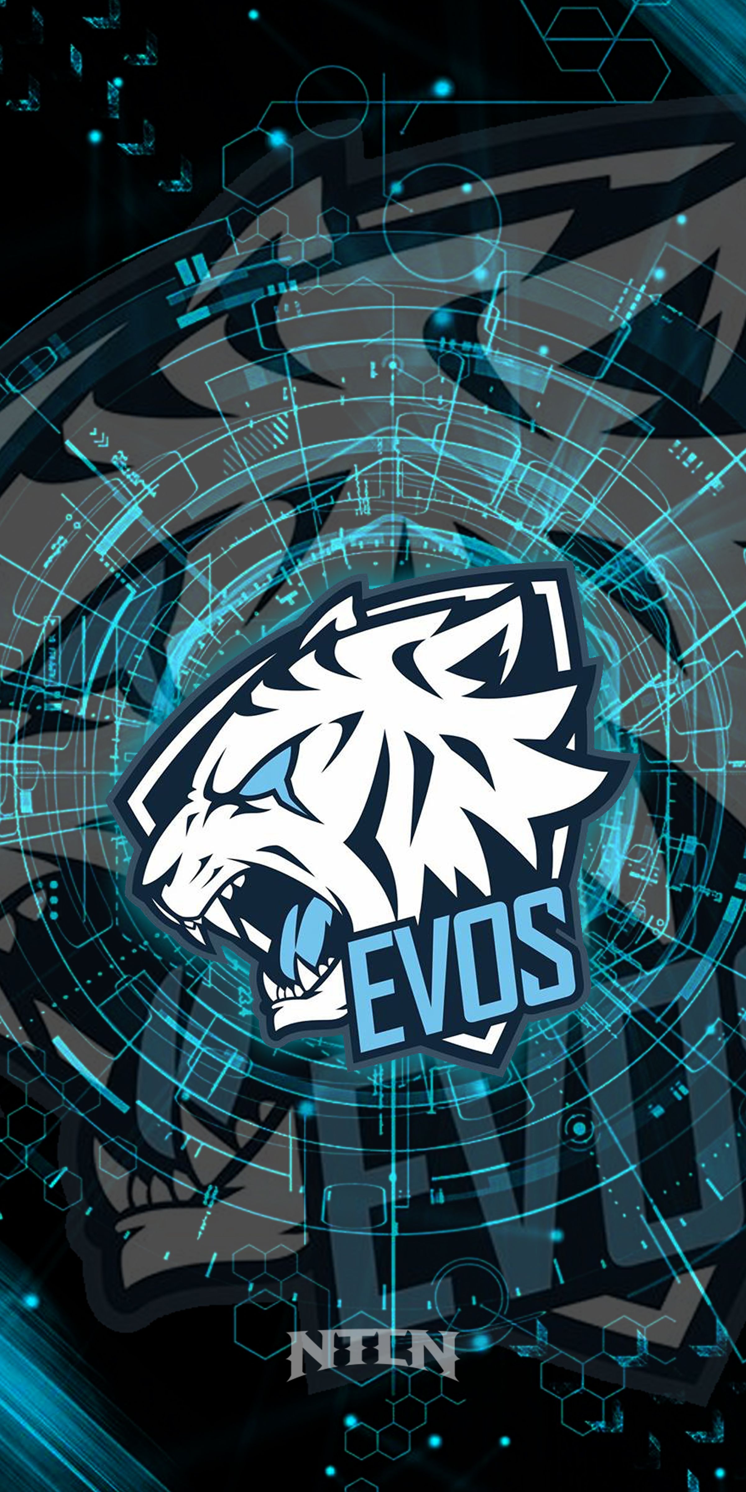 Detail Logo Evos Hd Nomer 11