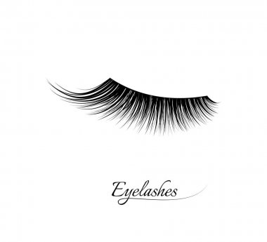 Detail Logo Eyelash Extension Kartun Nomer 52