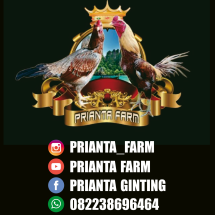 Detail Logo Farm Ayam Nomer 17