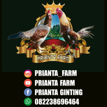 Detail Logo Farm Ayam Aduan Nomer 15