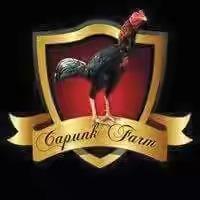 Detail Logo Farm Ayam Aduan Nomer 25