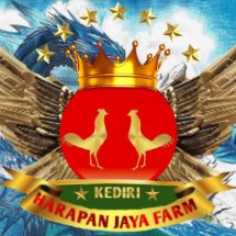 Detail Logo Farm Ayam Aduan Thailand Nomer 27
