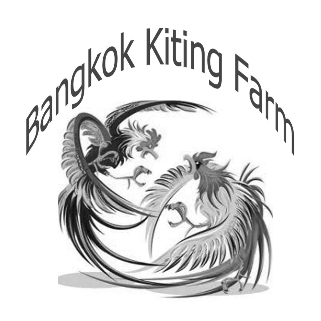 Detail Logo Farm Ayam Bangkok Nomer 36