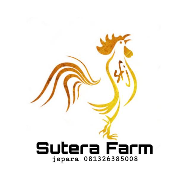 Detail Logo Farm Ayam Petarung Nomer 22