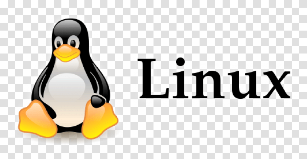 Detail Logo For Linux Nomer 5