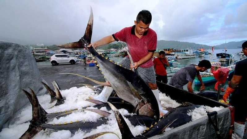Detail Nelayan Menangkap Ikan Di Laut Nomer 20