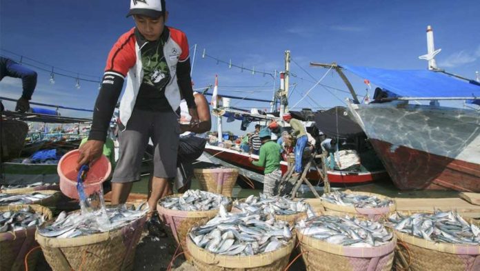 Detail Nelayan Menangkap Ikan Di Laut Nomer 30