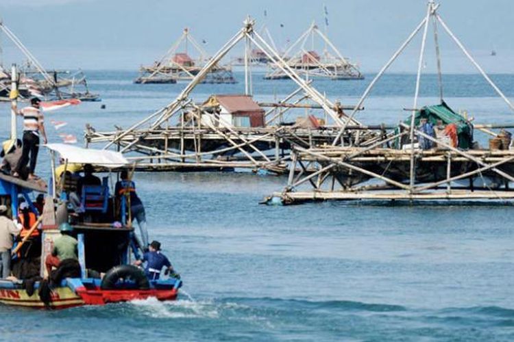 Detail Nelayan Menangkap Ikan Di Laut Nomer 41