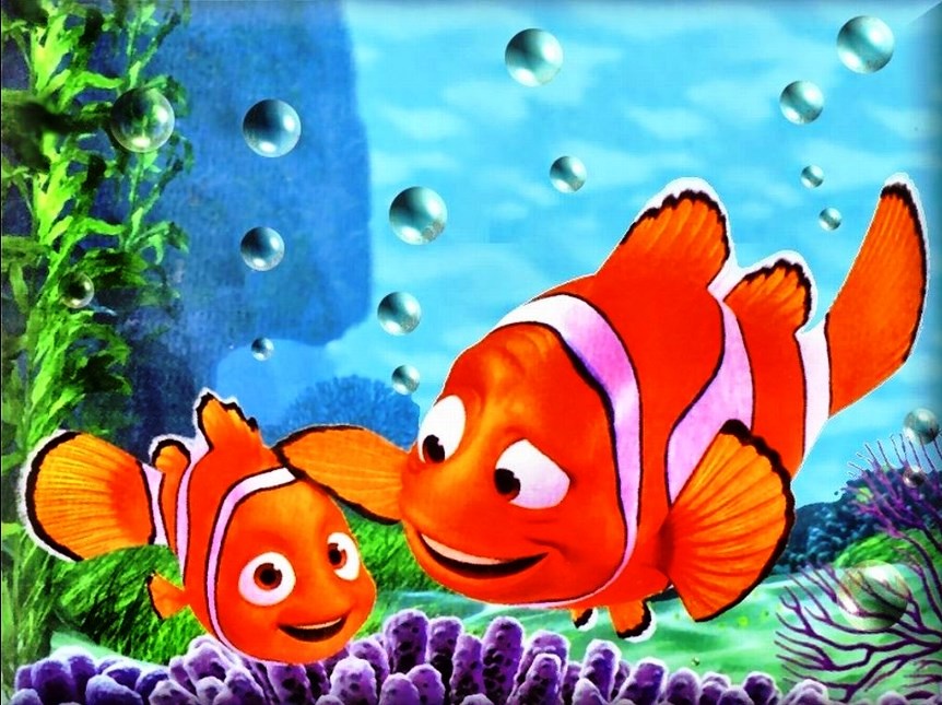 Detail Nemo Wallpaper Bergerak Nomer 2