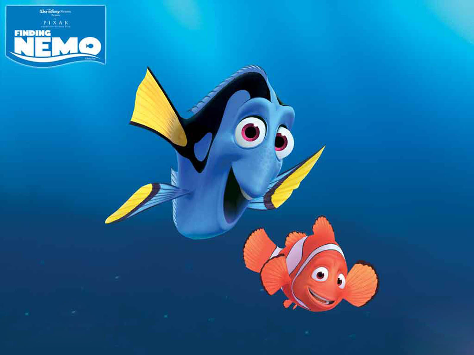 Detail Nemo Wallpaper Bergerak Nomer 53