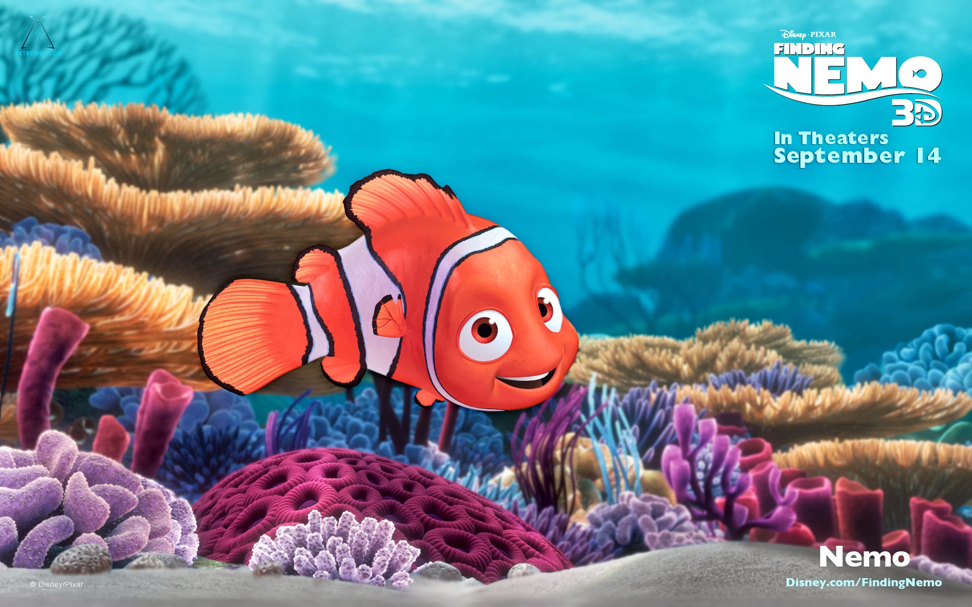 Detail Nemo Wallpaper Bergerak Nomer 10