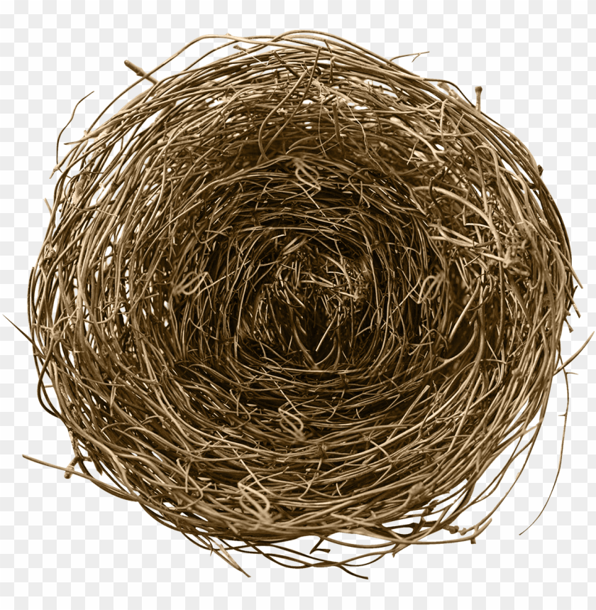 Detail Nest Transparent Background Nomer 12