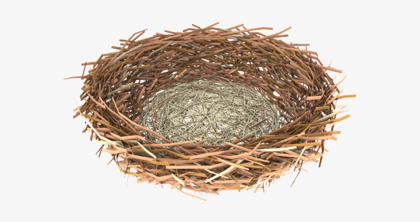 Detail Nest Transparent Background Nomer 16