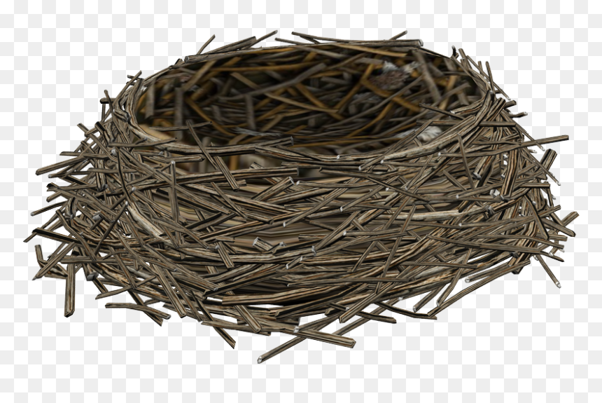 Detail Nest Transparent Background Nomer 19