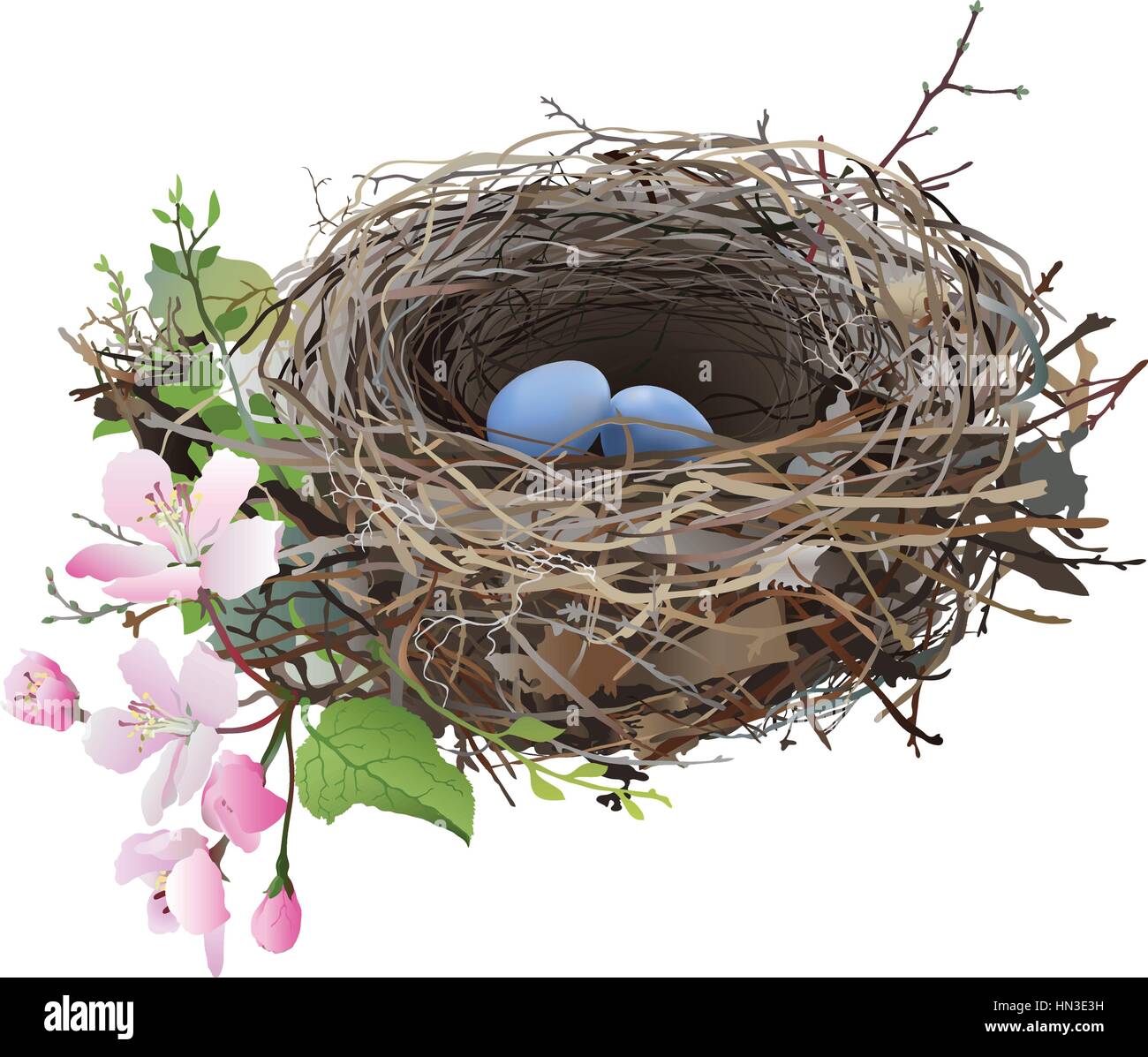 Detail Nest Transparent Background Nomer 24