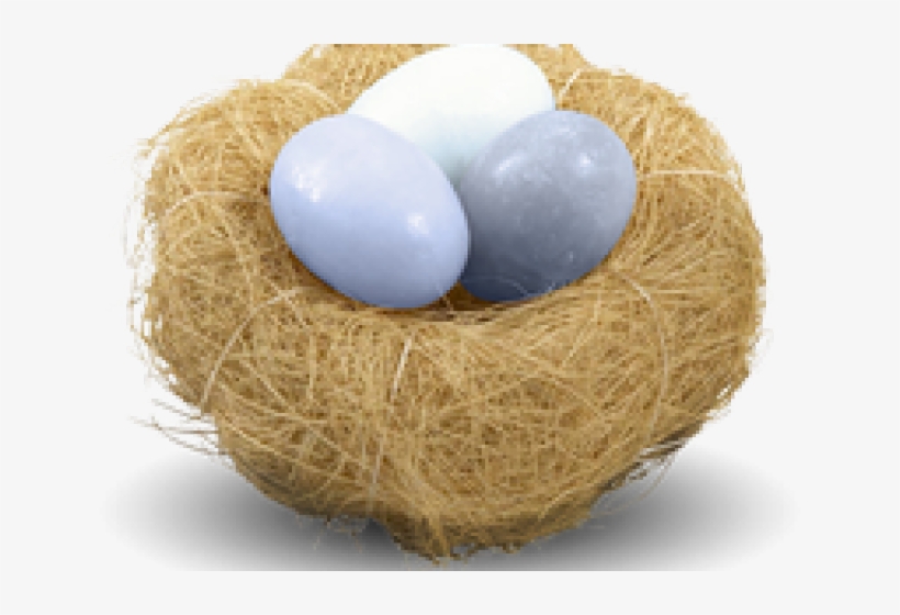 Detail Nest Transparent Background Nomer 43