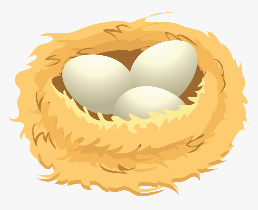 Nest With Eggs Clipart - KibrisPDR