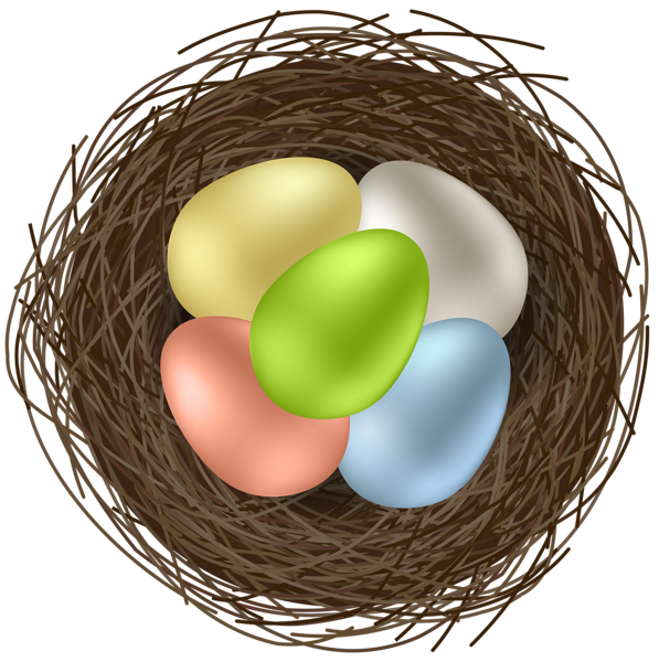 Detail Nest With Eggs Clipart Nomer 17