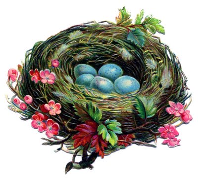 Detail Nest With Eggs Clipart Nomer 20