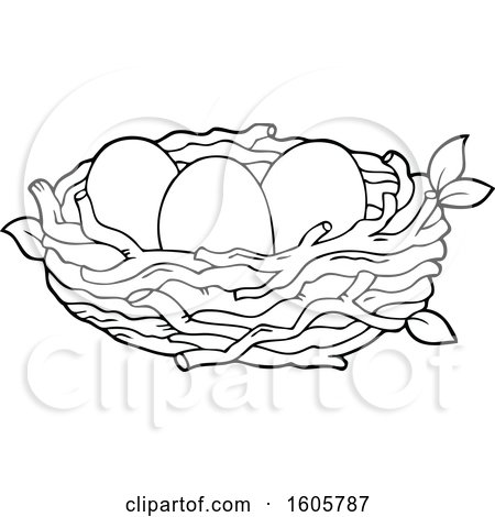 Detail Nest With Eggs Clipart Nomer 29