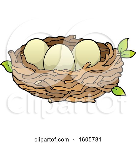 Detail Nest With Eggs Clipart Nomer 49