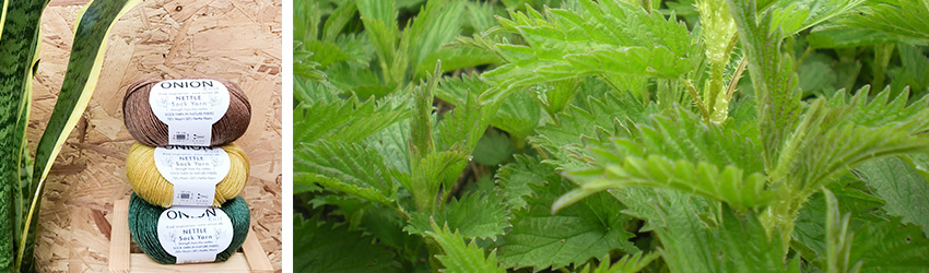 Detail Nettle Images Nomer 43