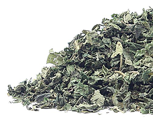 Detail Nettle Leaf Amazon Nomer 13