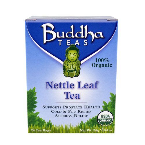 Detail Nettle Leaf Amazon Nomer 19