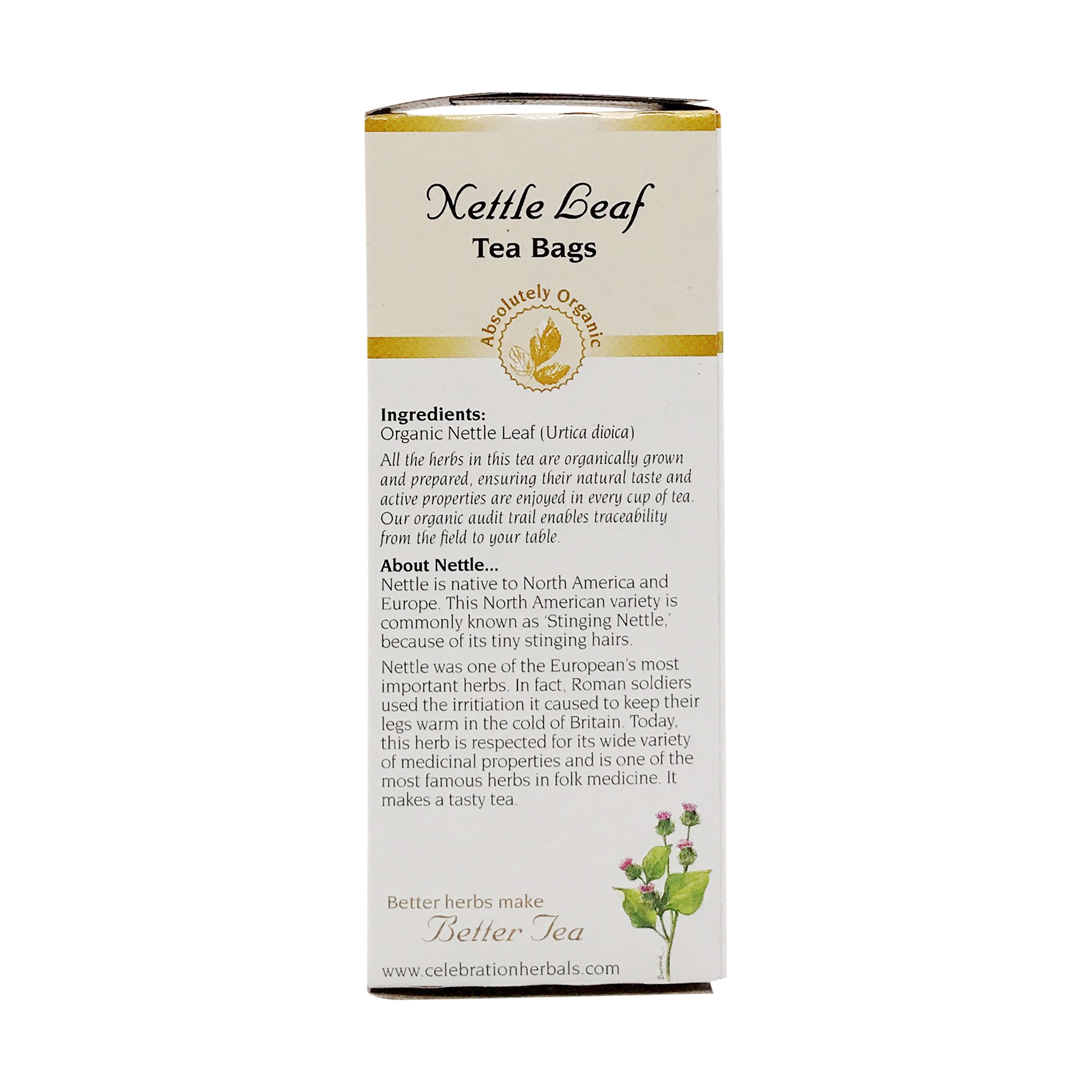 Detail Nettle Leaf Amazon Nomer 23