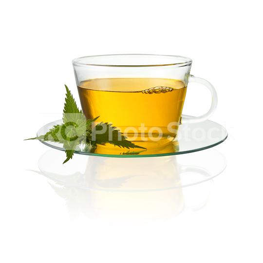 Detail Nettle Leaf Amazon Nomer 45