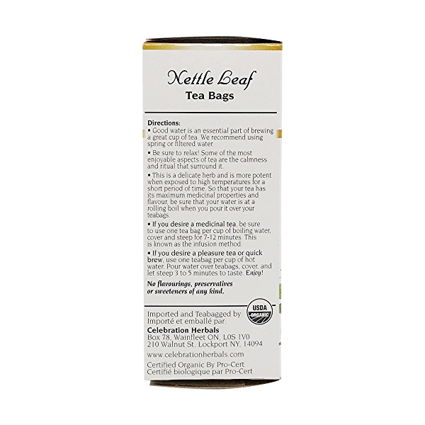 Detail Nettle Leaf Amazon Nomer 46