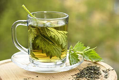 Detail Nettle Leaf Amazon Nomer 47