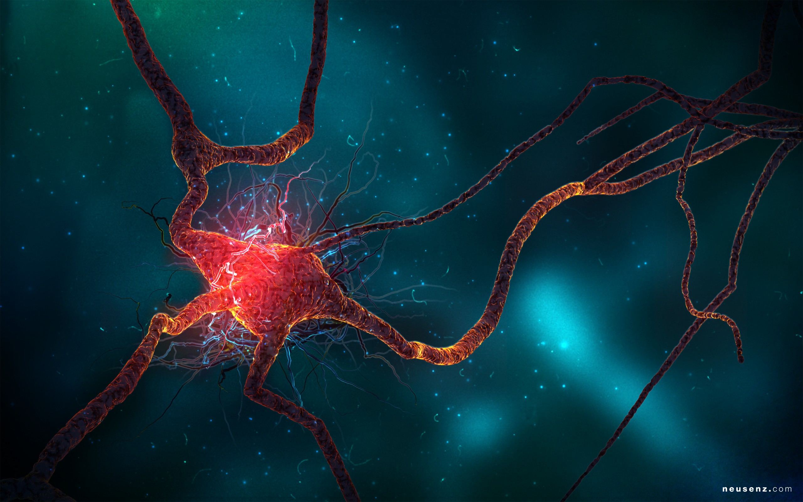 Detail Neuron Wallpaper Nomer 15