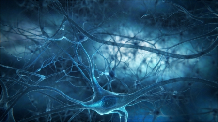 Detail Neuron Wallpaper Nomer 16