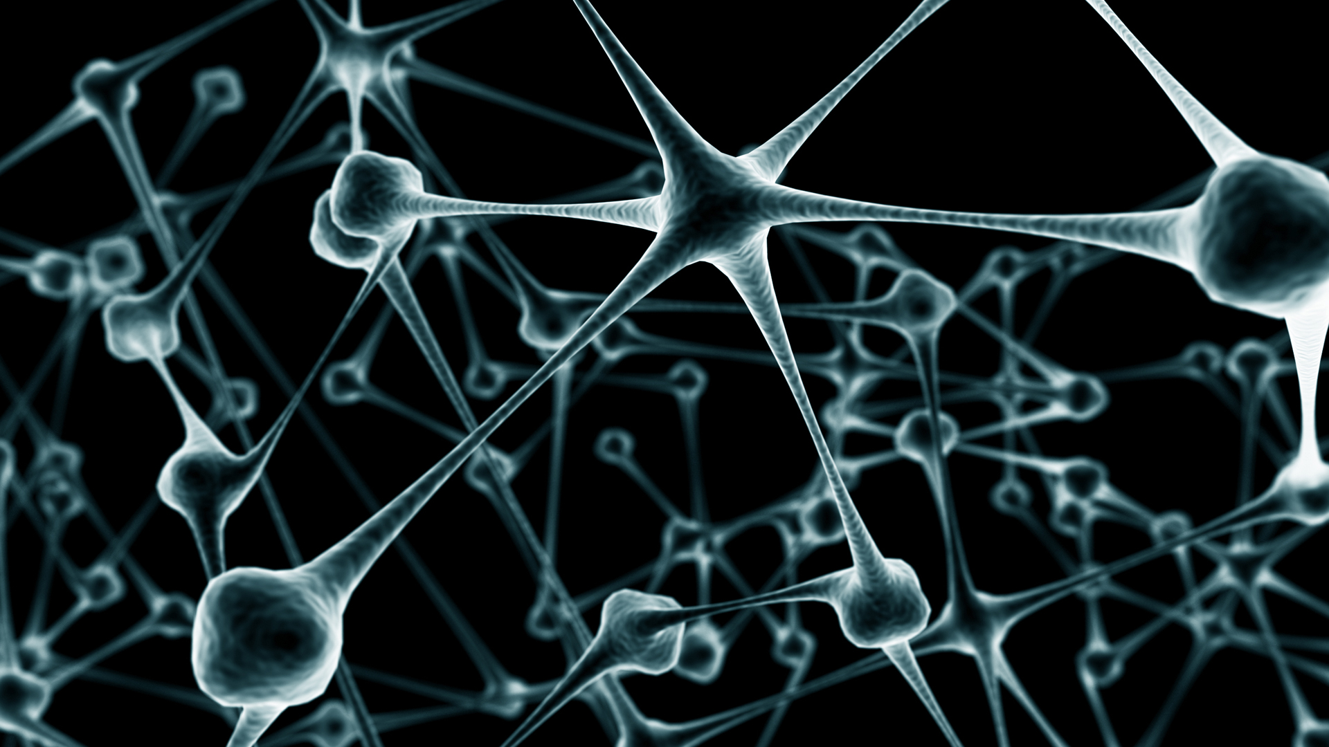 Detail Neuron Wallpaper Nomer 18