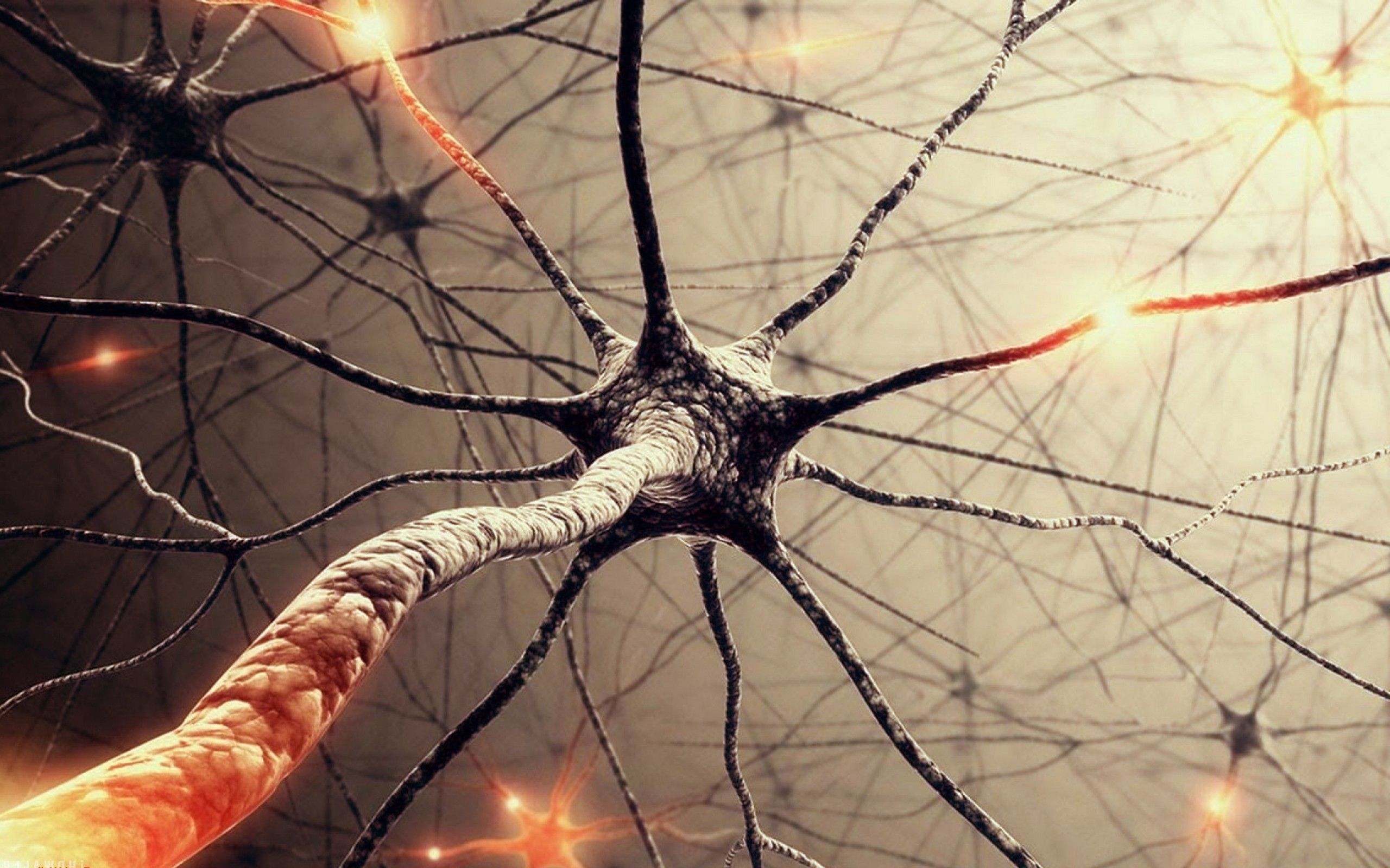 Detail Neuron Wallpaper Nomer 3