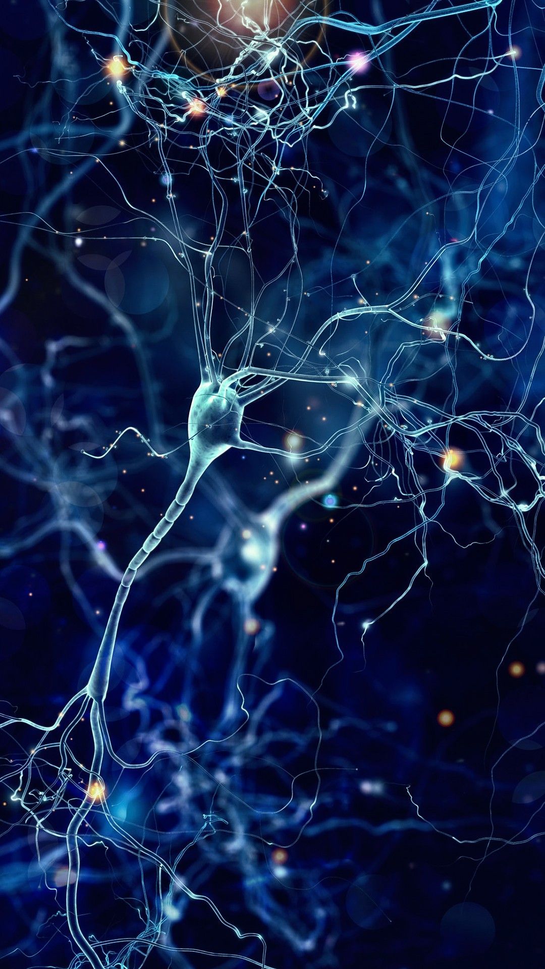 Detail Neuron Wallpaper Nomer 23