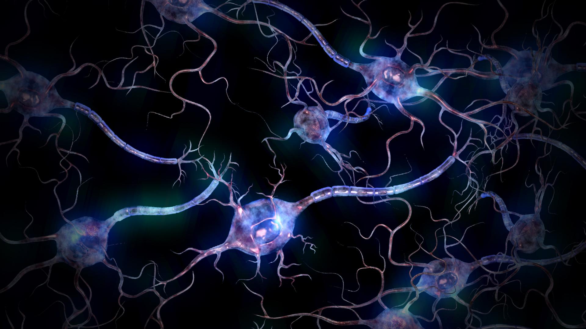 Detail Neuron Wallpaper Nomer 4