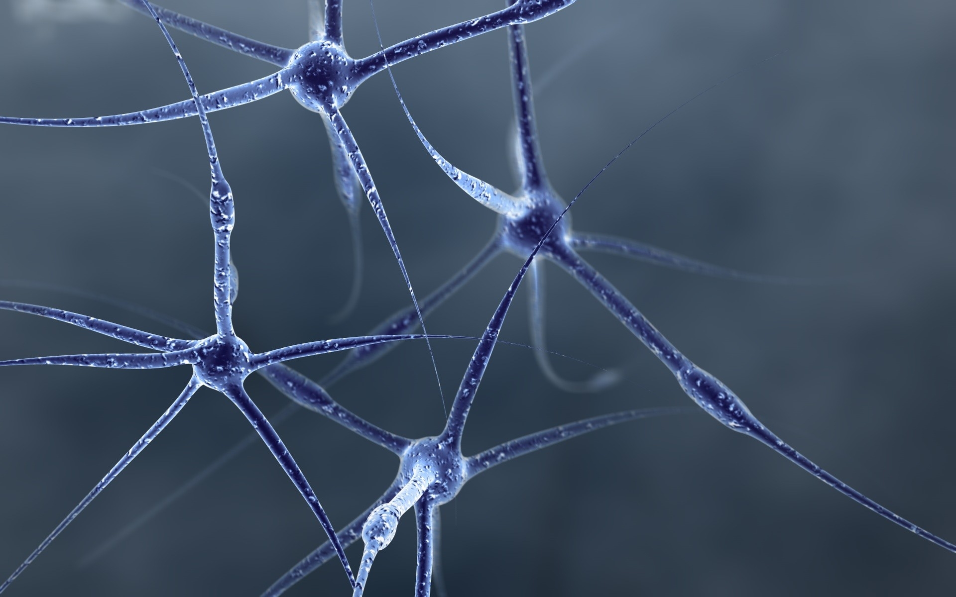 Detail Neuron Wallpaper Nomer 30