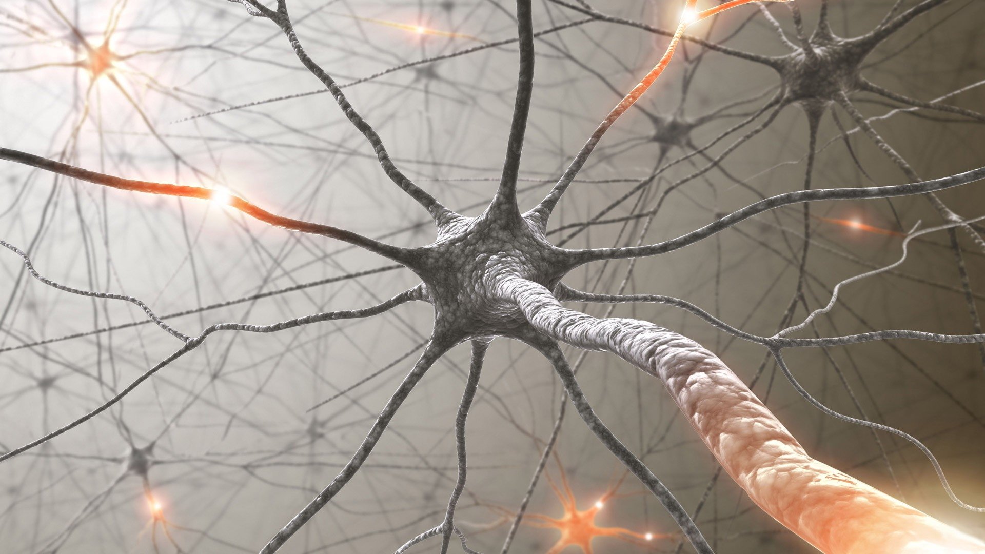 Detail Neuron Wallpaper Nomer 5