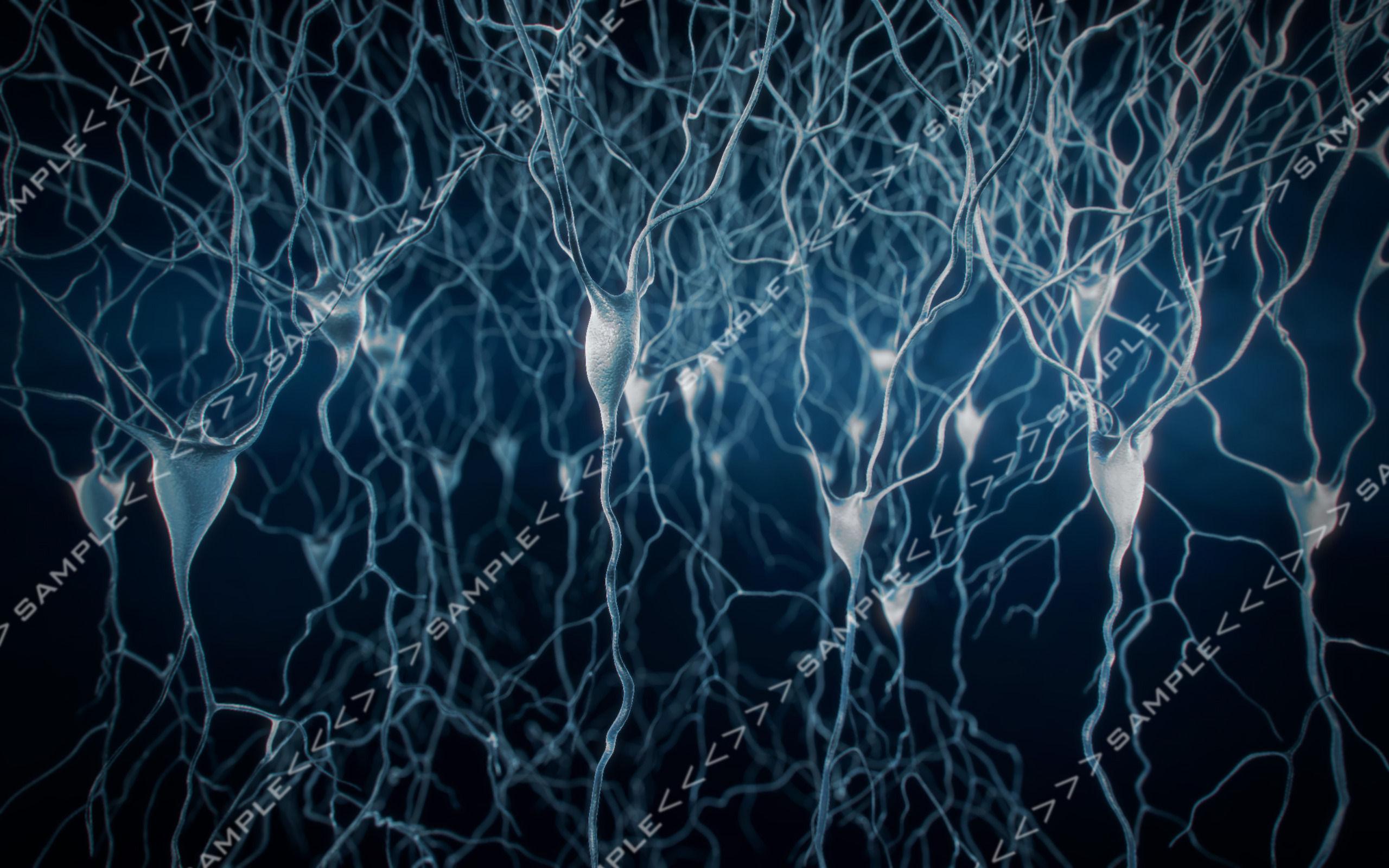 Detail Neuron Wallpaper Nomer 47