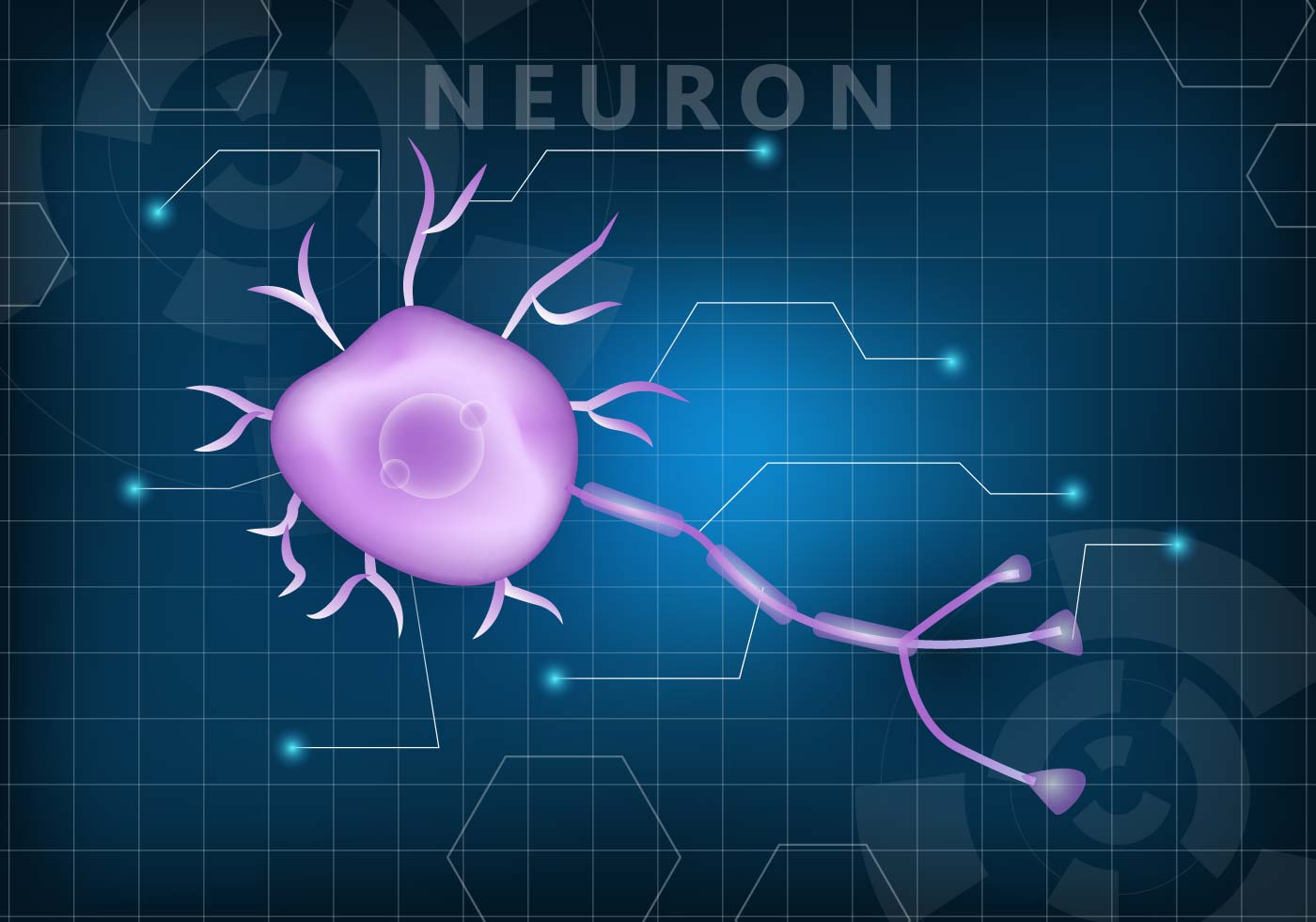 Detail Neuron Wallpaper Nomer 49