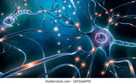 Detail Neuron Wallpaper Nomer 7