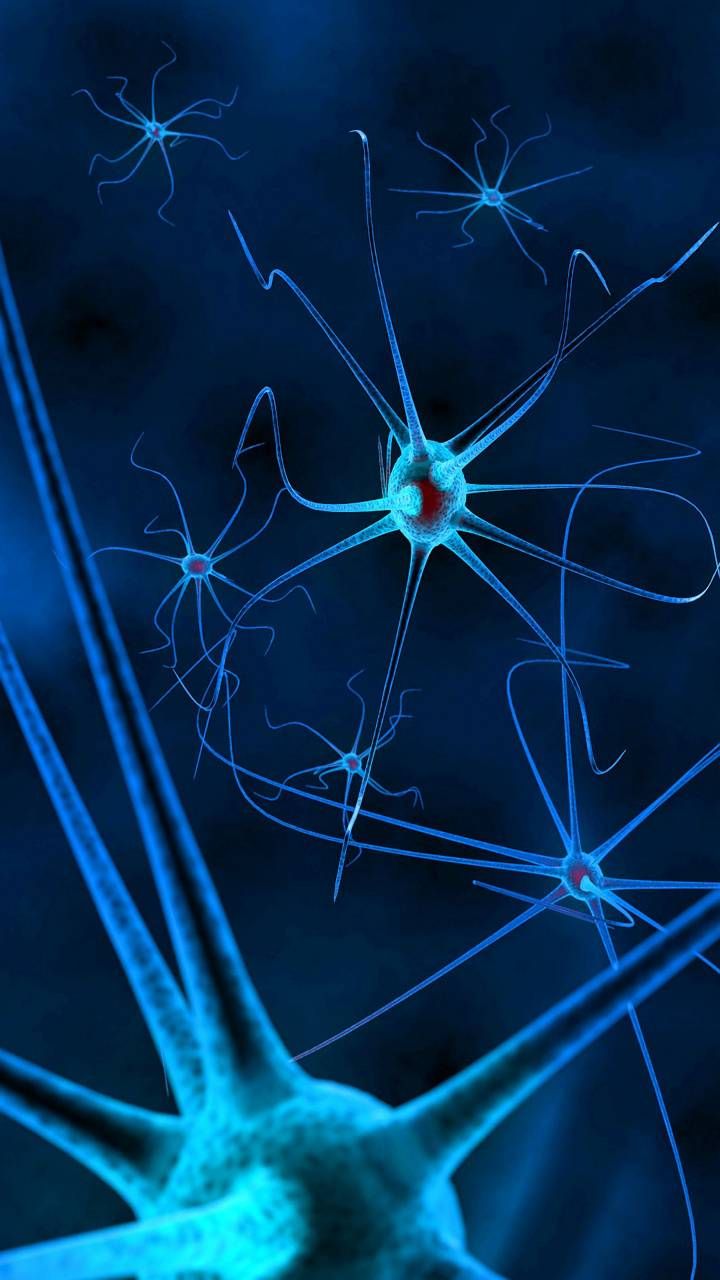 Detail Neuron Wallpaper Nomer 9