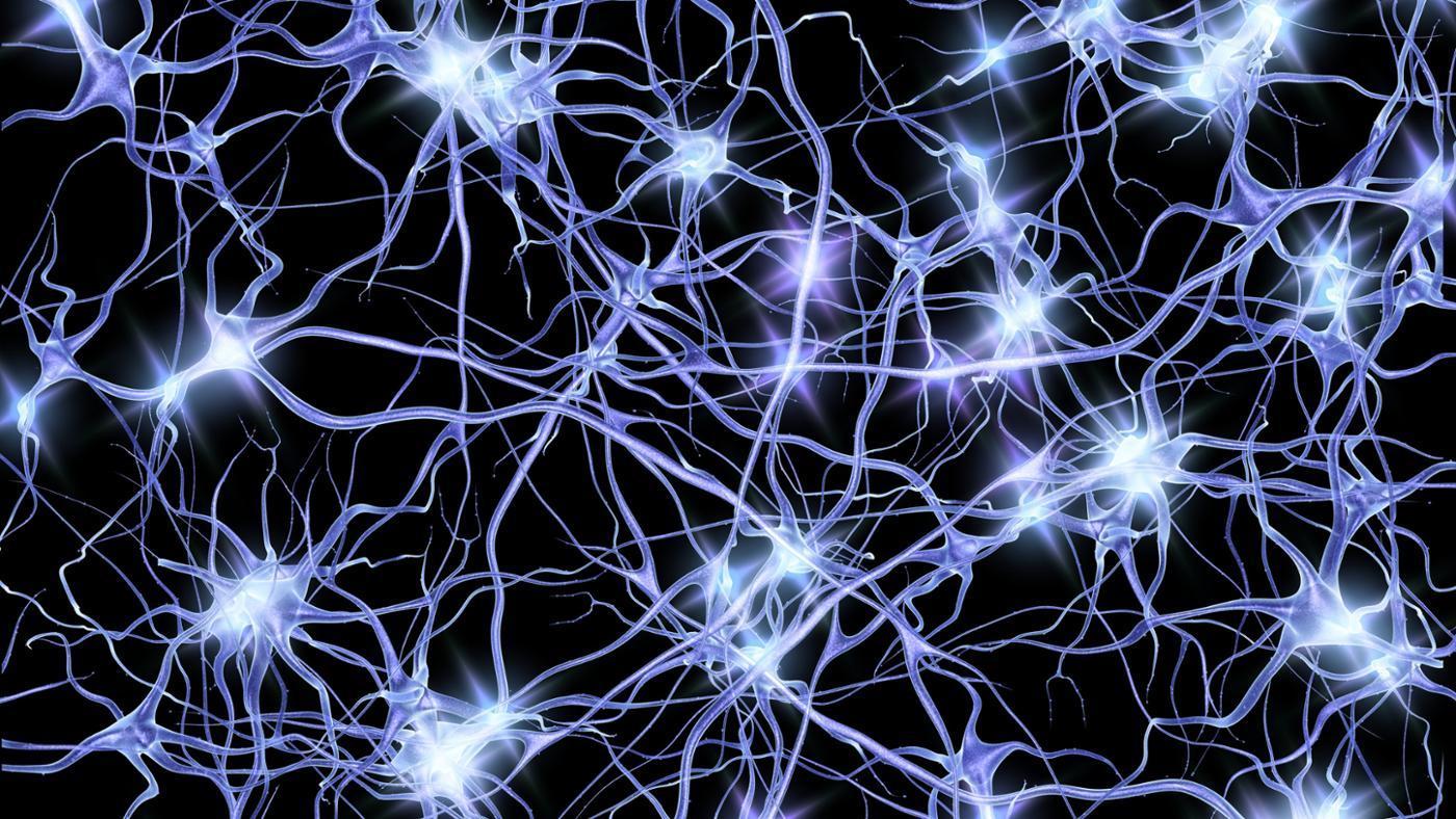 Detail Neuron Wallpaper Nomer 10