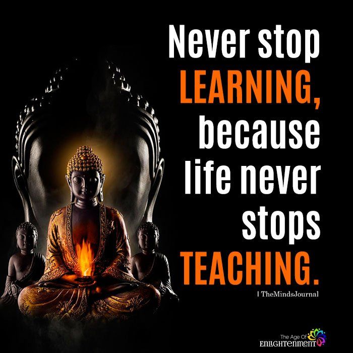 Detail Never Stop Learning Quotes Nomer 11