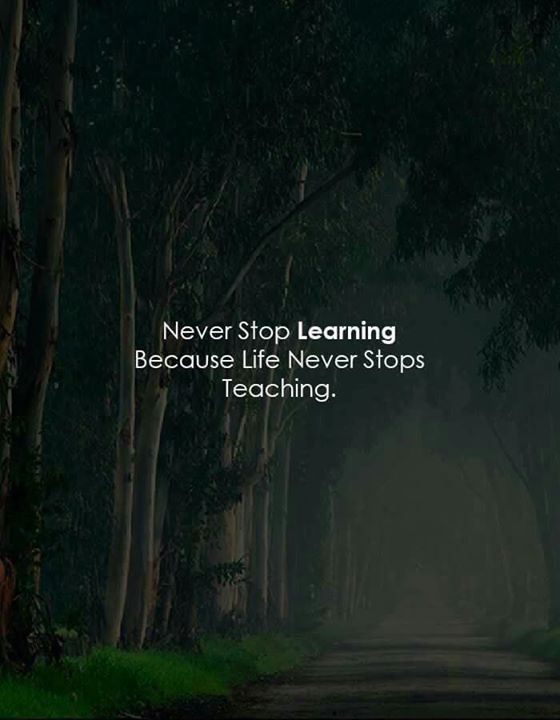 Detail Never Stop Learning Quotes Nomer 23